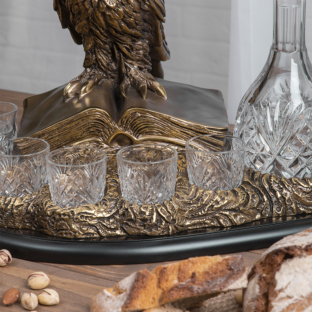 Набор для напитков Ученый филин