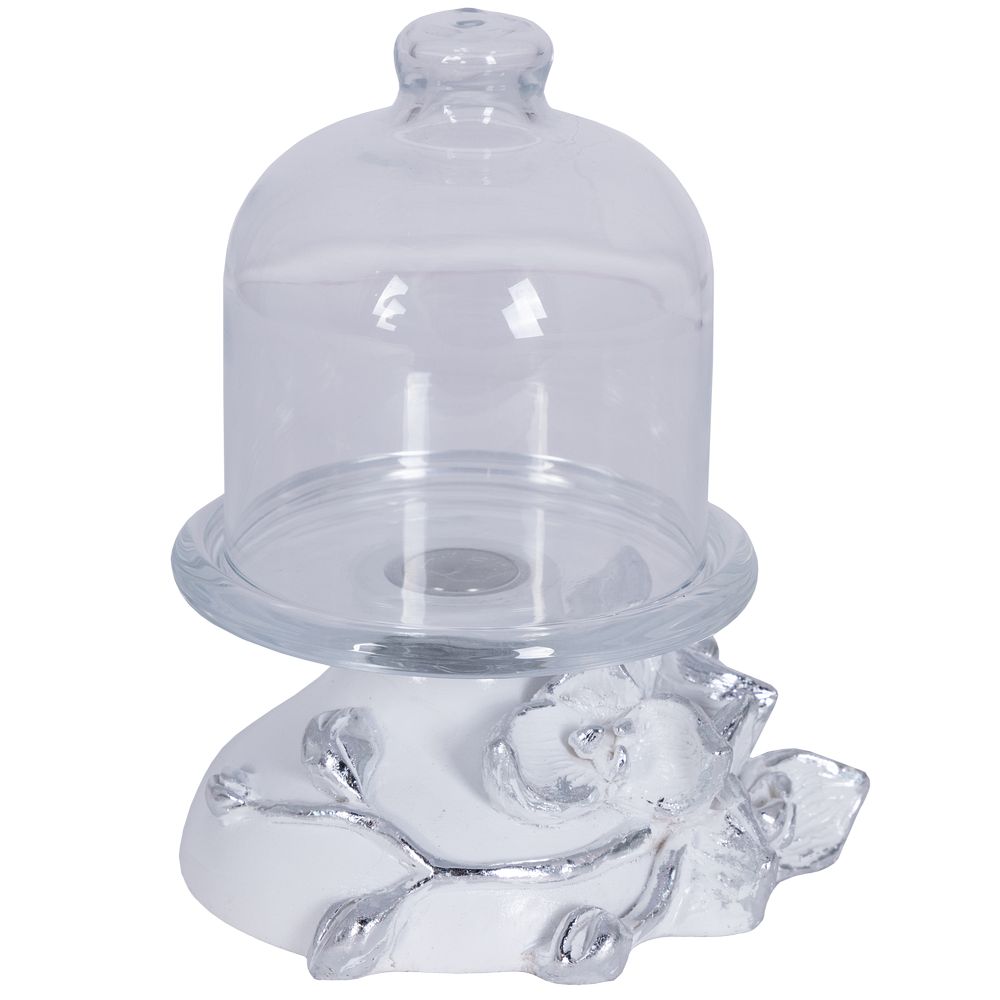 Лимонница Орхидея Лайм 