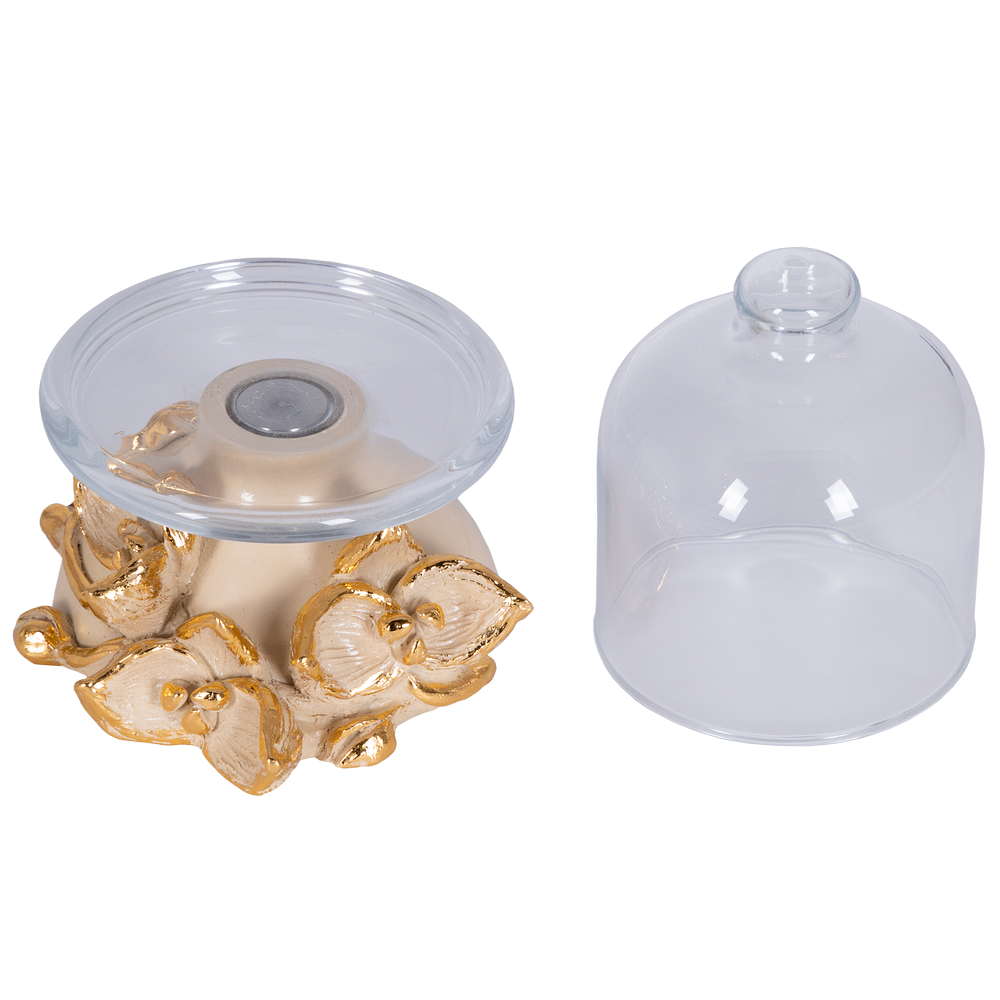 Лимонница Орхидея Лайм 