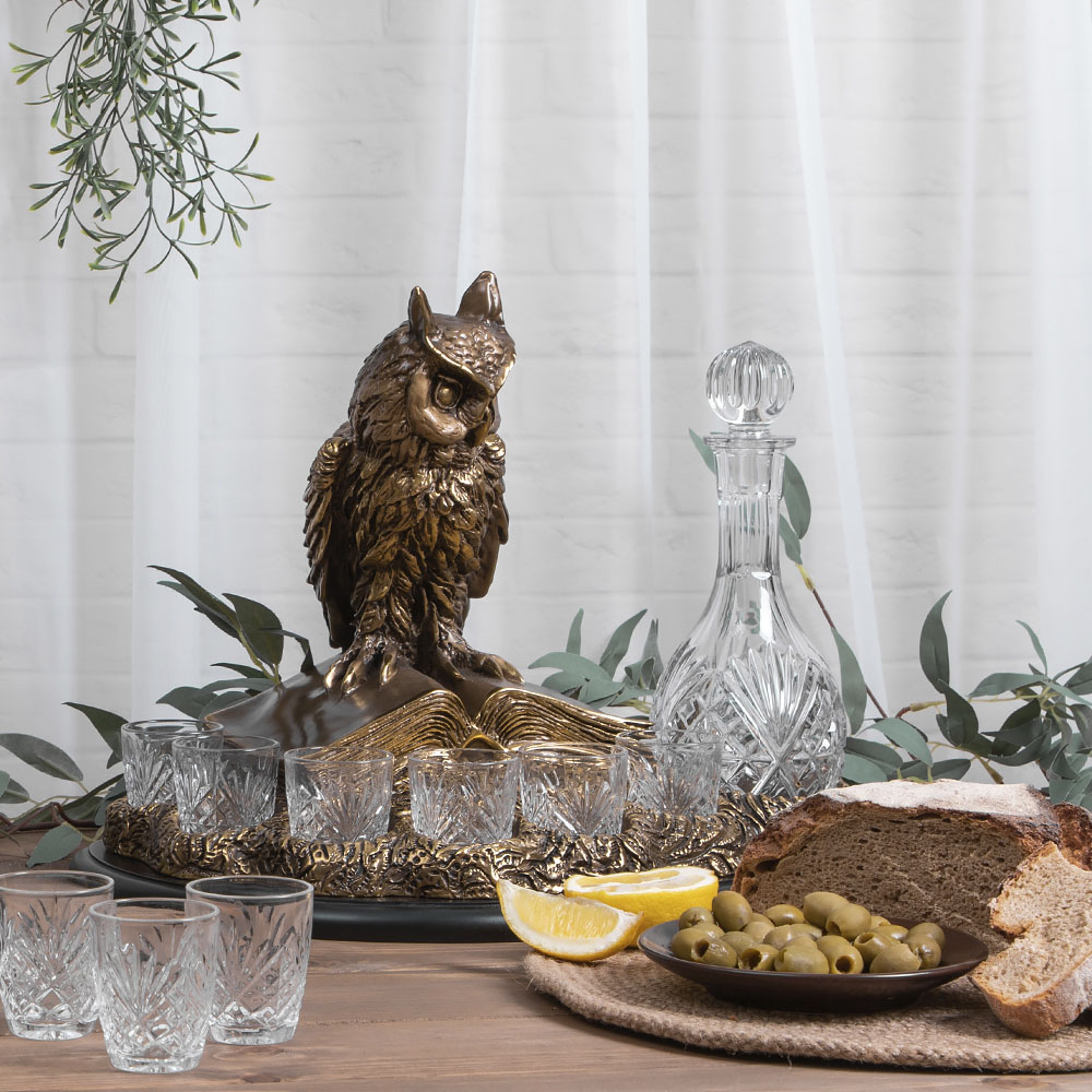 Набор для напитков Ученый филин