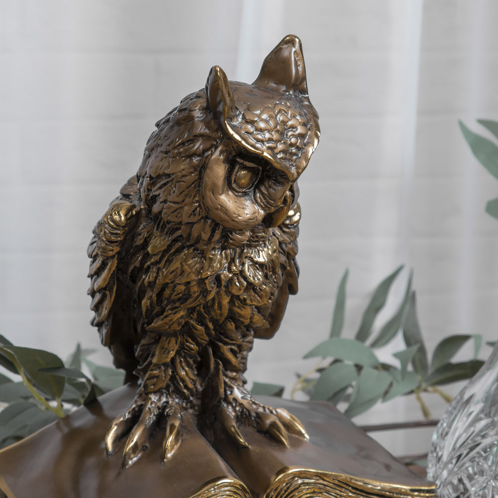 Набор для напитков Ученый филин