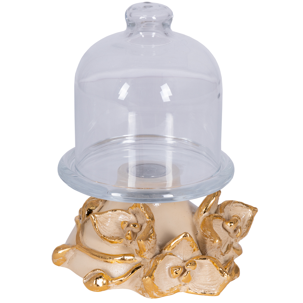 Лимонница Орхидея Лайм 