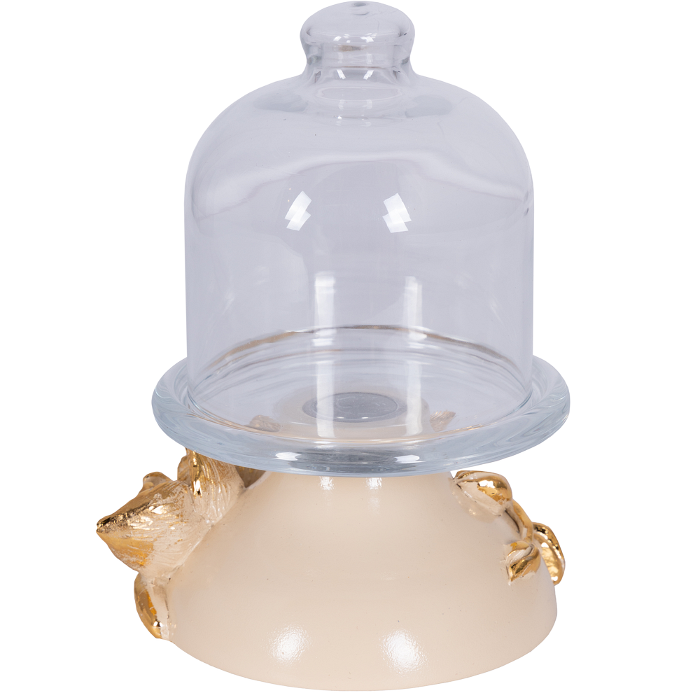 Лимонница Орхидея Лайм 