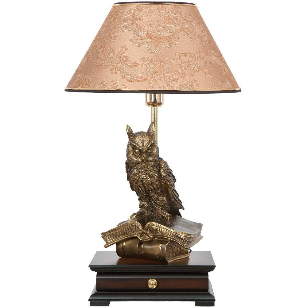 Настольная лампа с бюро Ученый Филин