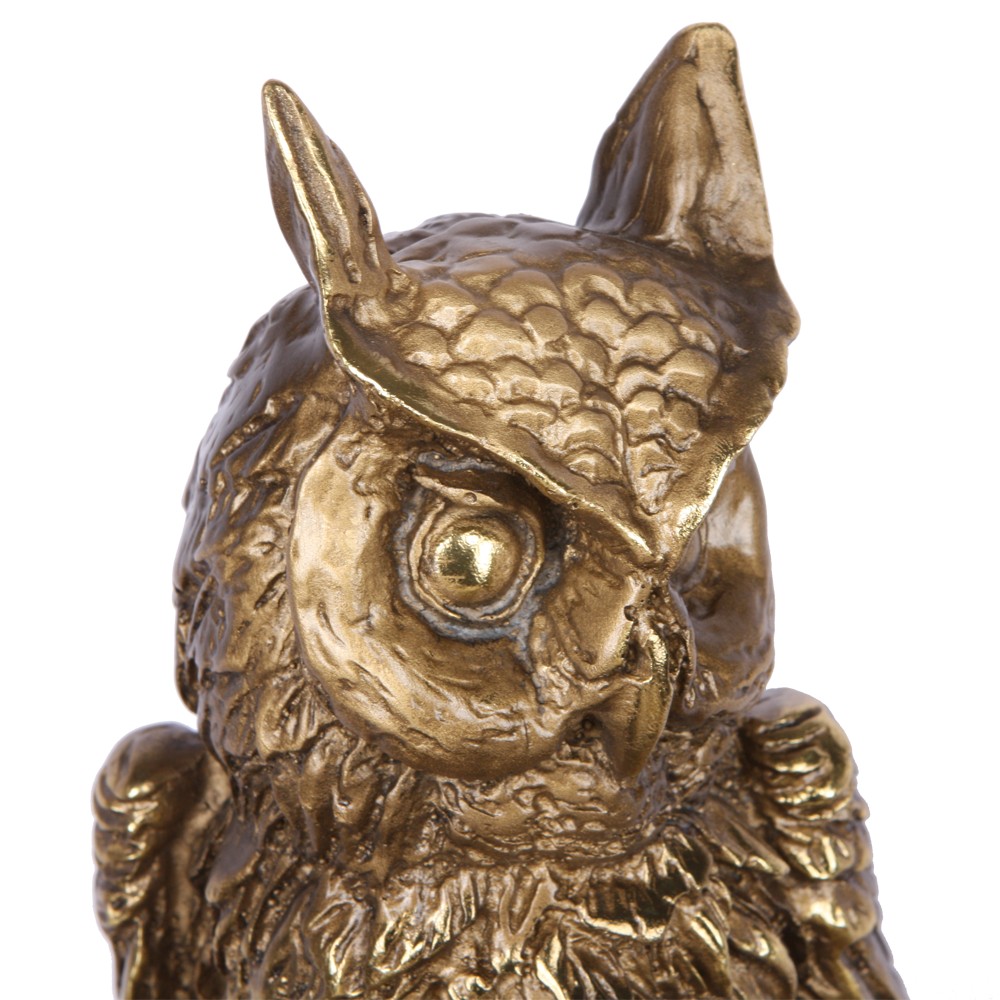 Набор для напитков Ученый филин