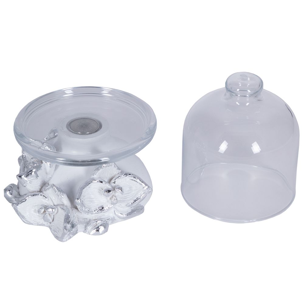 Лимонница Орхидея Лайм 